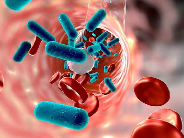 Giải đáp thắc mắc s.aureus gây bệnh gì và những nguy cơ tiềm ẩn