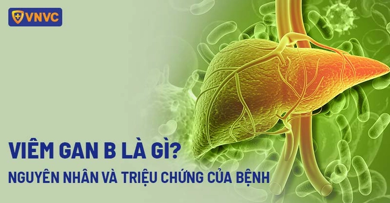 Giải đáp thắc mắc viêm gan b gây ra bệnh gì và những nguy cơ tiềm ẩn