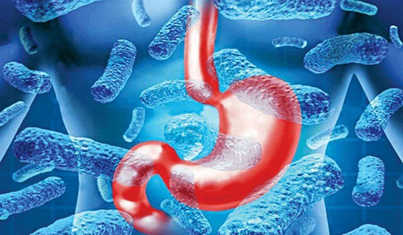 Giải đáp thắc mắc virus hp gây ra bệnh gì và cách phòng ngừa hiệu quả