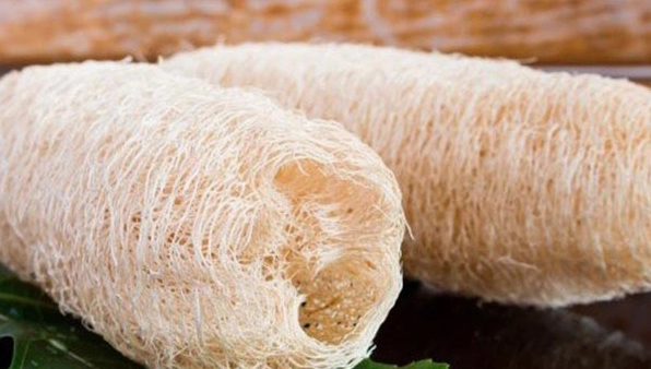 Giải đáp thắc mắc xơ mướp chữa bệnh gì theo y học cổ truyền