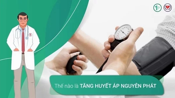 Giải mã bệnh tăng huyết áp vô căn nguyên phát là gì và kiến thức y khoa