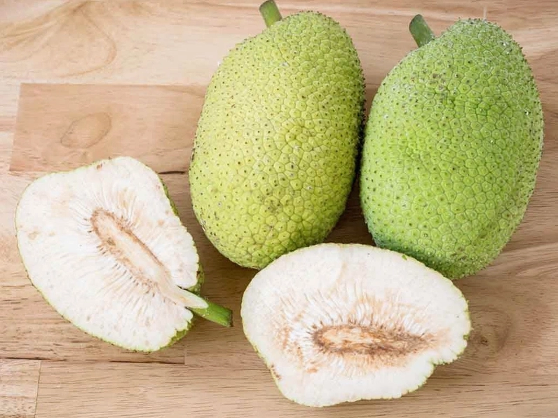 Giải mã thắc mắc trái sake trị bệnh gì và những công dụng sức khỏe