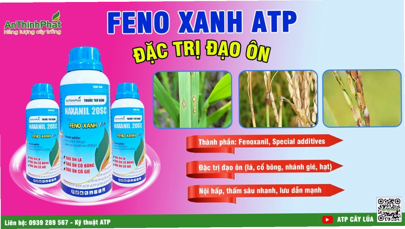 Giải pháp đặc trị bệnh đạo ôn