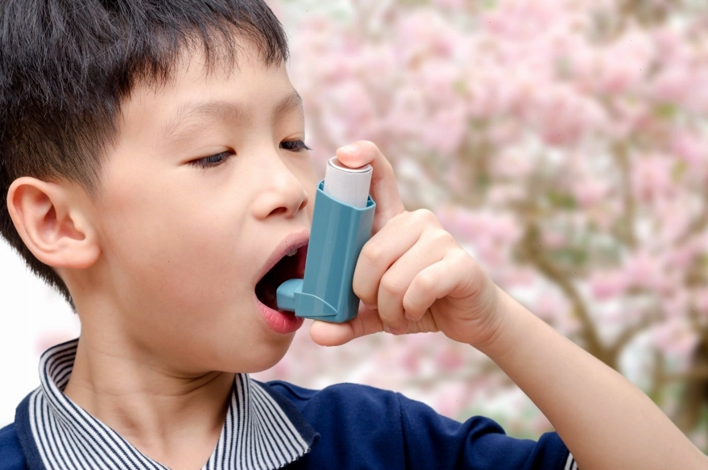 Giải phẫu phổi người bị hen suyễn so với người bình thường