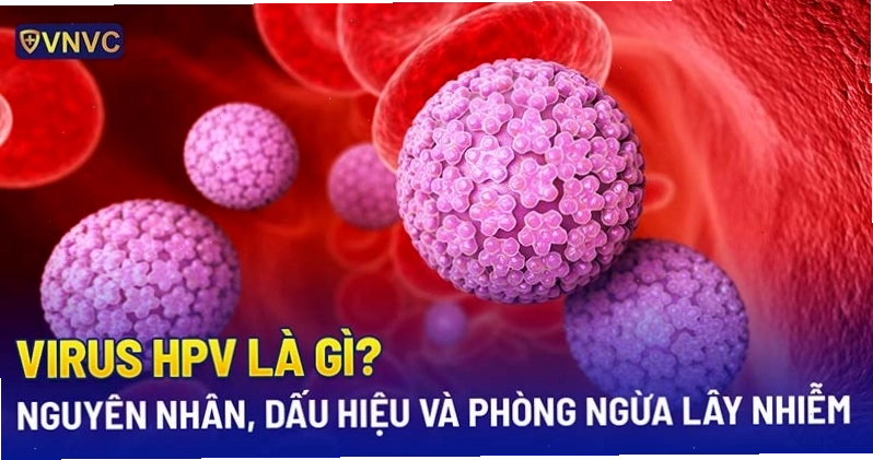 Giải thích cơ bản về virus HPV