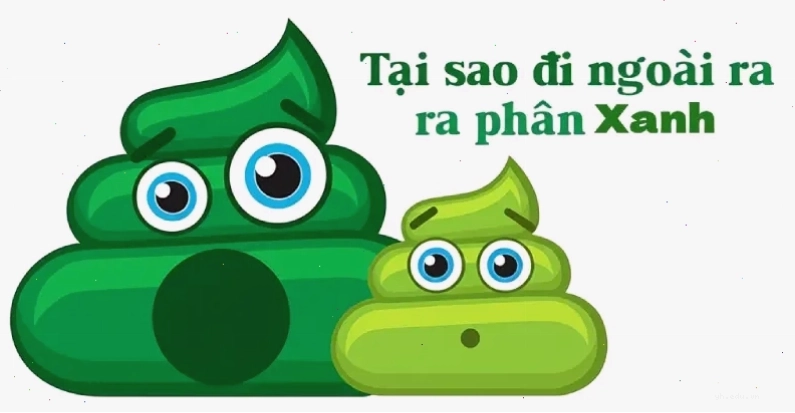 Giải thích hiện tượng tại sao phân có màu xanh lá cây