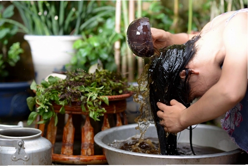 Gội đầu bằng bồ kết giúp cải thiện tình trạng bệnh