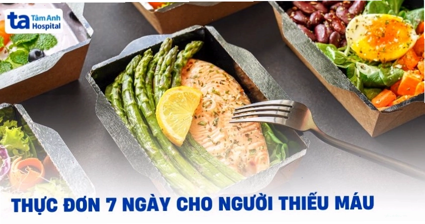 Gợi ý thực đơn 7 ngày cho người thiếu máu đủ chất đủ lượng