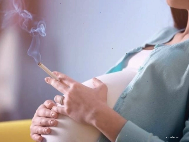 Hành động hút thuốc gây hại nghiêm trọng cho sự phát triển của thai nhi