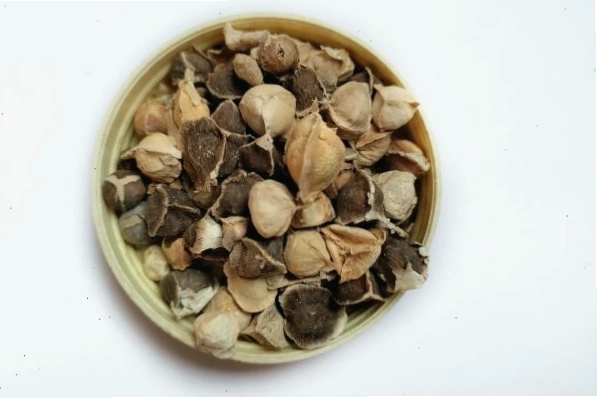 Hạt chùm ngây tươi