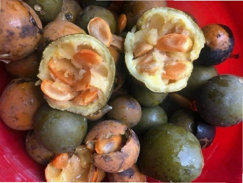 Hạt sang chữa dạ dày