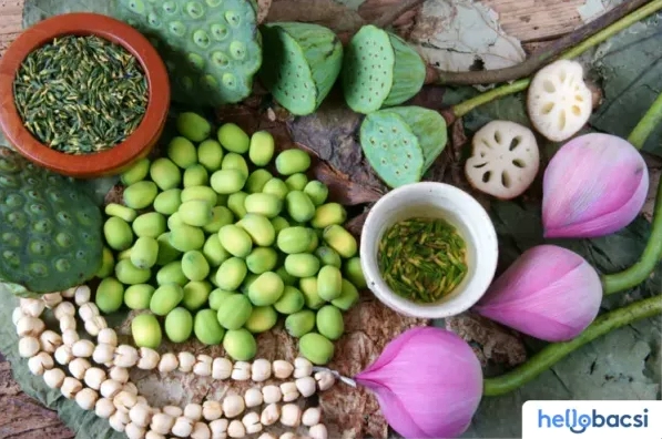 Hạt sen trắng chữa bệnh gì và những công năng quý trong y học cổ truyền