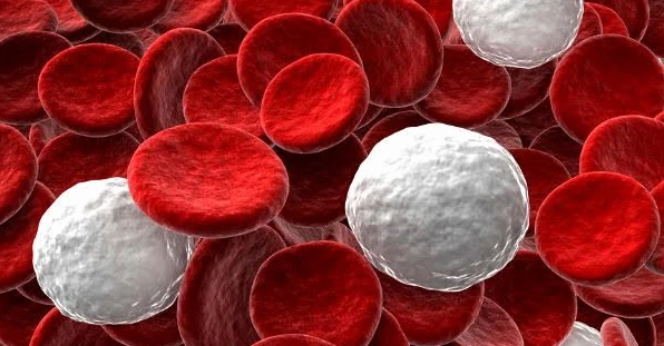 Hemoglobin cao la bệnh gì và những điều cần biết về sức khỏe