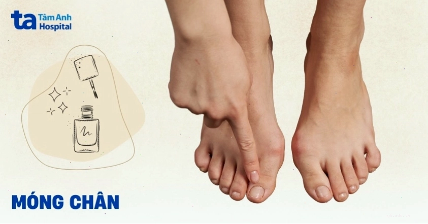 Hình ảnh cấu tạo móng chân người