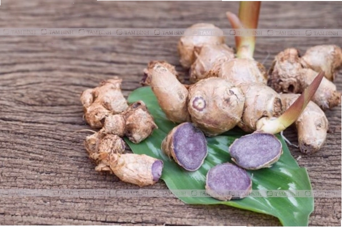 Hình ảnh củ ngải đen với đặc điểm màu sắc đặc trưng