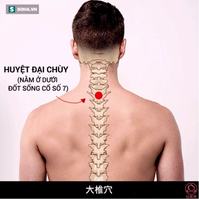 Hình ảnh đồ họa thông tin về các thói quen cần tránh để giữ sức khỏe