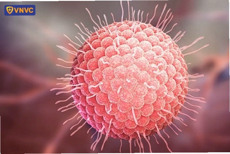 Hình ảnh hiển thị cấu trúc virus Varicella Zoster dưới kính hiển vi