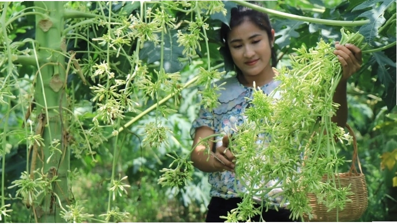Hình ảnh hoa đu đủ đực tươi