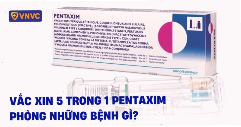 Hình ảnh lọ vắc xin 5 trong 1 sử dụng trong tiêm phòng cho trẻ em