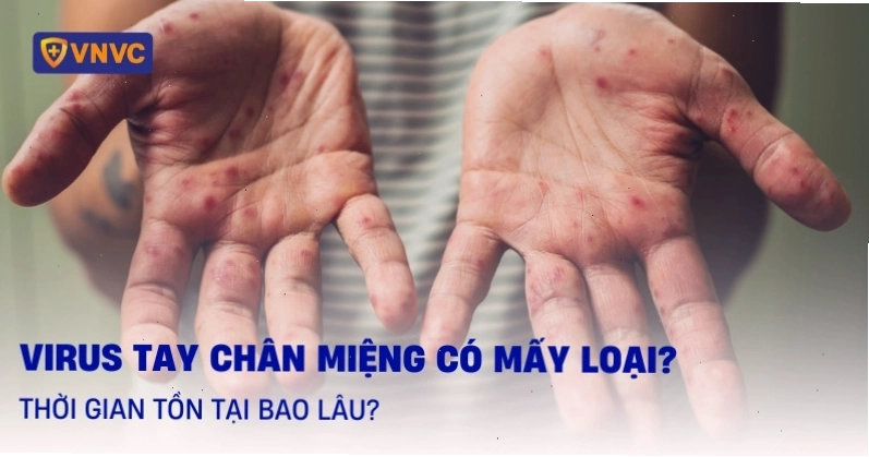 Hình ảnh minh họa các loại virus gây bệnh tay chân miệng phổ biến