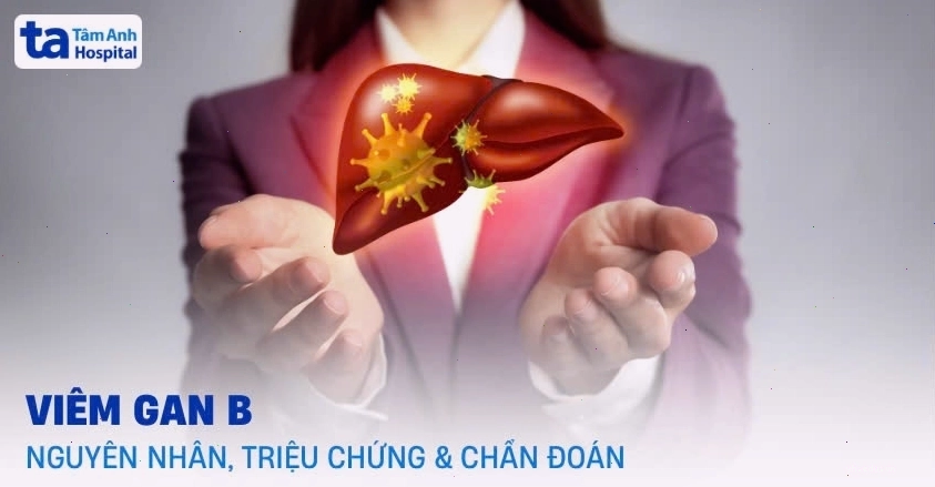 Hình ảnh minh họa cấu trúc virus viêm gan B và các cơ quan bị ảnh hưởng