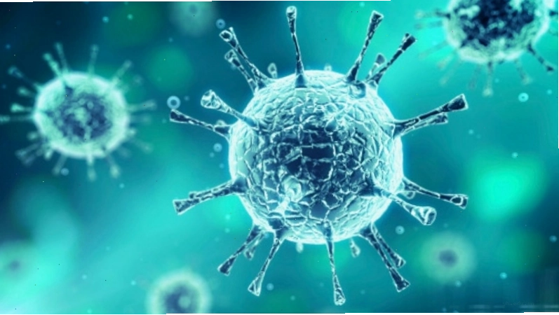 Hình ảnh minh họa chủng virus Enterovirus D68 dưới kính hiển vi điện tử