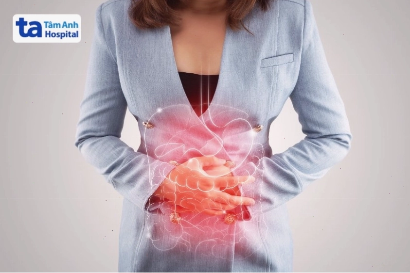 Hình ảnh minh họa giải phẫu đại tràng ở người