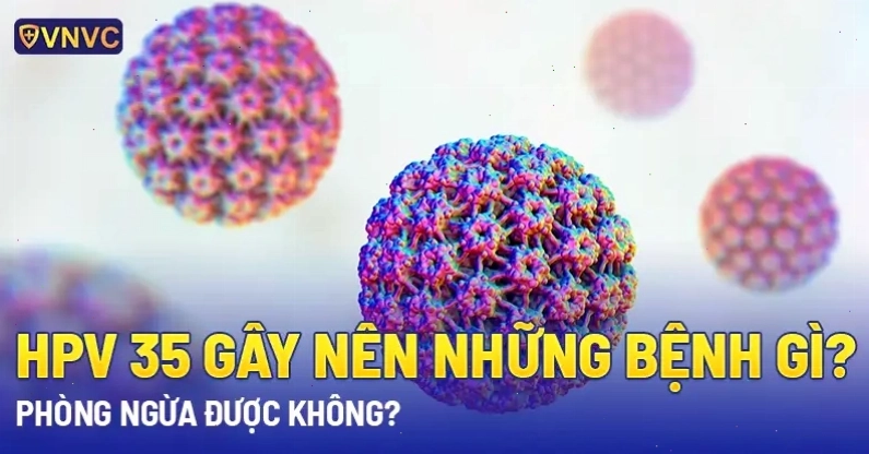 Hình ảnh minh họa quá trình sàng lọc virus HPV