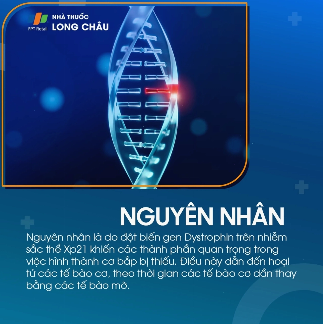 Hình ảnh minh họa thực phẩm dinh dưỡng 3