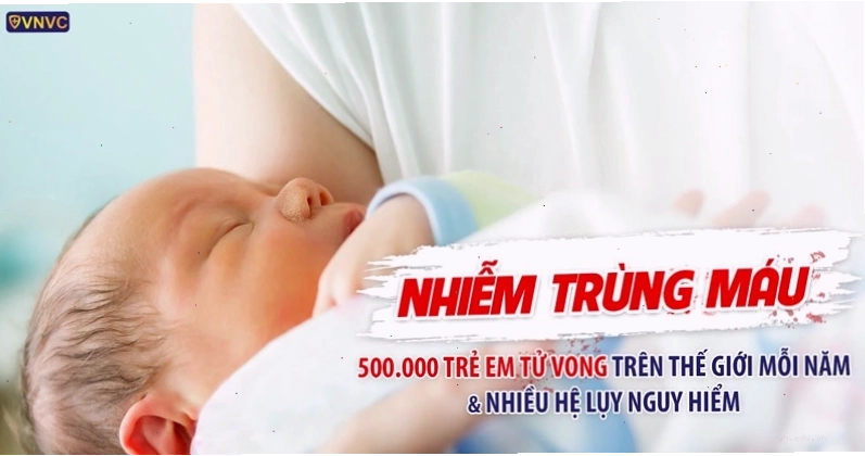 Hình ảnh minh họa về tình trạng nhiễm trùng máu trong y khoa