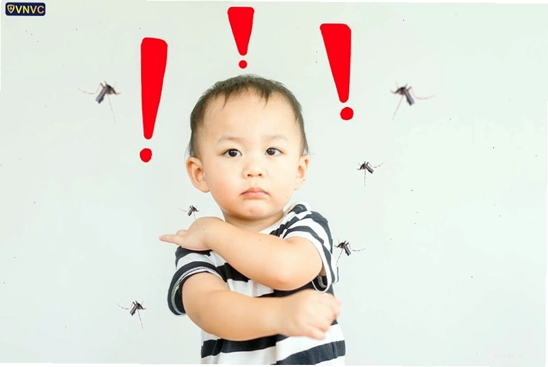 Hình ảnh minh họa về virus sốt vàng