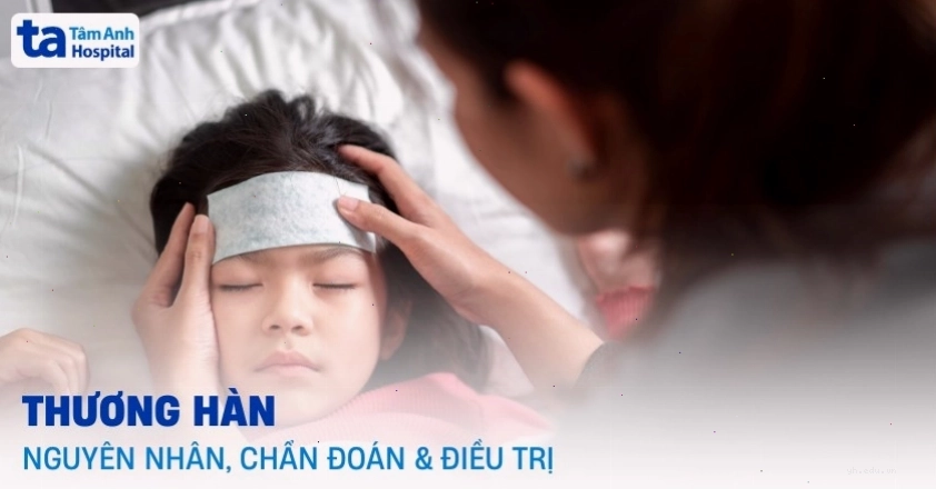 Hình ảnh minh họa vi khuẩn gây bệnh thương hàn