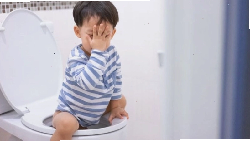 Hình ảnh minh họa việc xây dựng lối sống lành mạnh cho hệ tiêu hóa