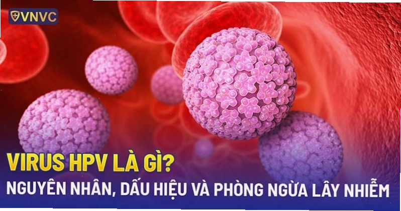 Hình ảnh minh họa virus HPV dưới kính hiển vi