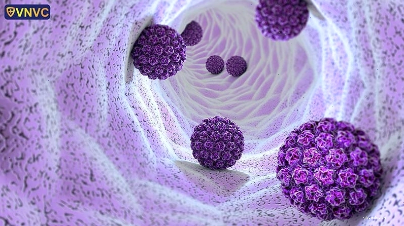 Hình ảnh minh họa virus HPV gây tổn thương tế bào