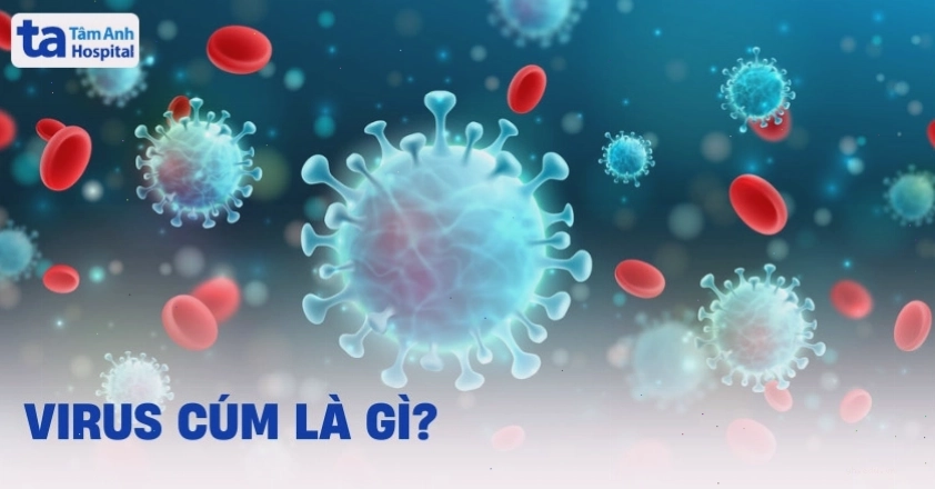 Hình ảnh mô phỏng cấu trúc virus cúm