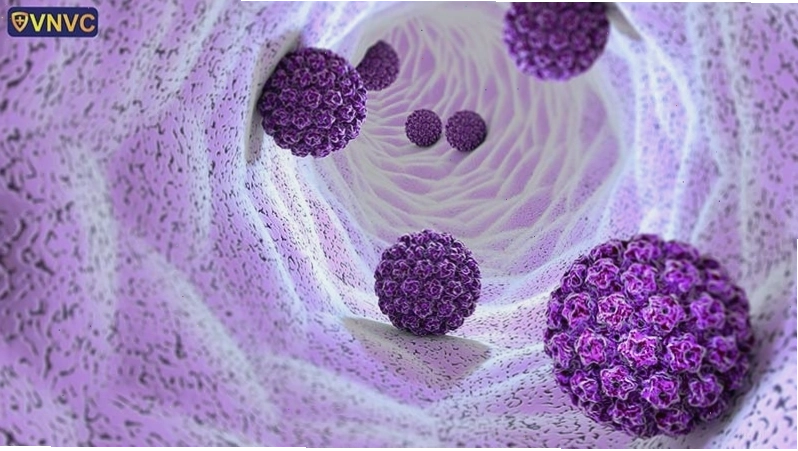 Hình ảnh mô phỏng cấu trúc virus HPV