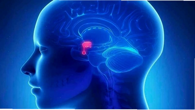 Hình ảnh mô phỏng tình trạng suy tuyến yên nguy hiểm