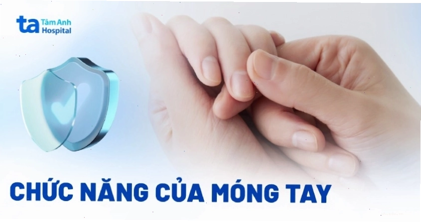 Hình ảnh móng tay khỏe mạnh của người trưởng thành