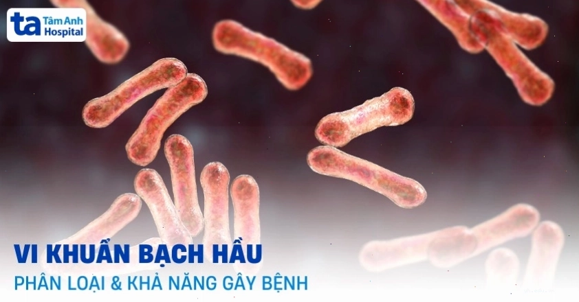 Hình ảnh vi khuẩn bạch hầu dưới kính hiển vi điện tử