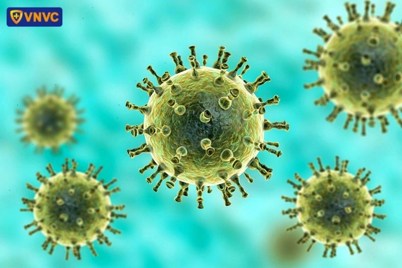 Hình ảnh virus Varicella Zoster gây bệnh