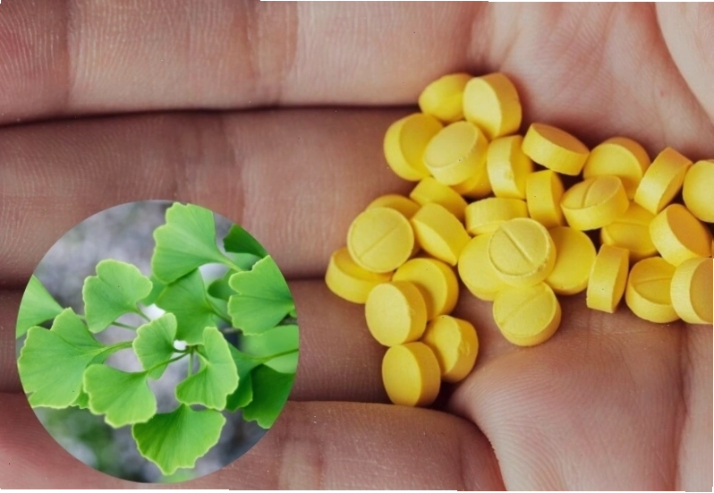Hỗ trợ sức khỏe não bộ là công dụng chính của các sản phẩm Ginkgo Biloba