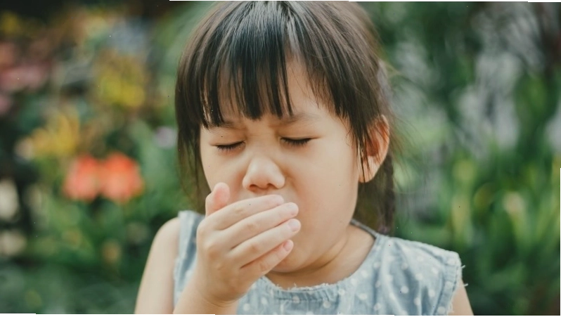 Hoa đu đủ đực hỗ trợ hô hấp