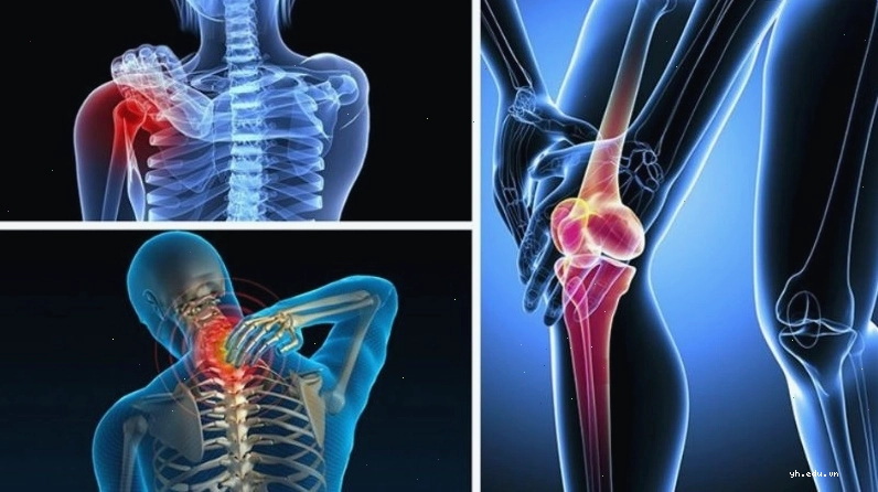 Hoạt chất Mogrosides trong quả la hán có tác dụng chống viêm