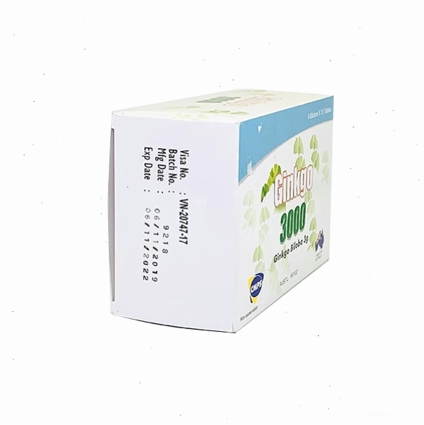 Hộp Ginkgo 3000