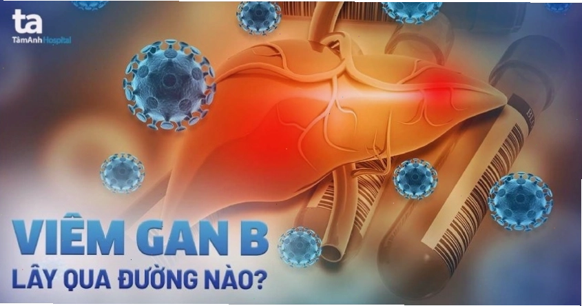 Infographic minh họa các con đường lây nhiễm virus viêm gan B