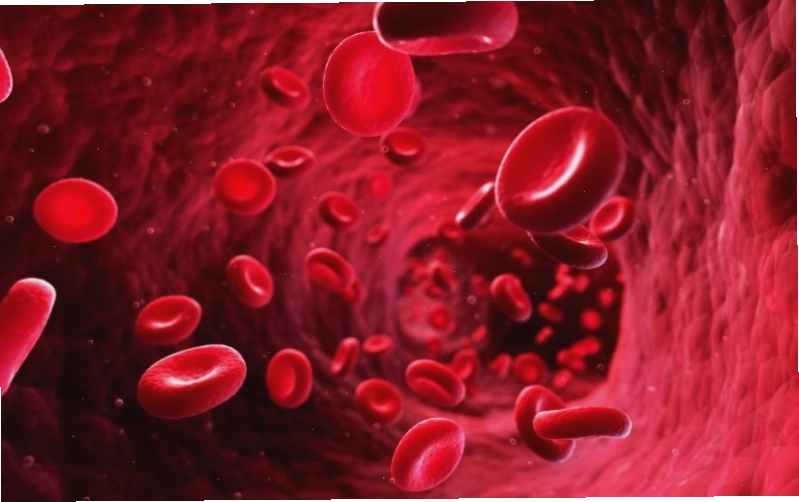 Khi hemoglobin mất đi oxy hoặc bị oxy hóa, máu sẽ chuyển sang màu đen hoặc nâu sẫm.