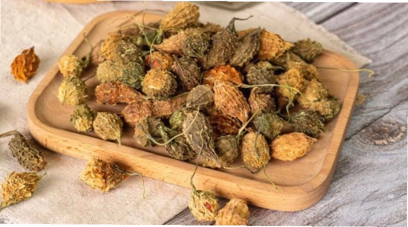 Khổ qua rừng hỗ trợ người tiểu đường