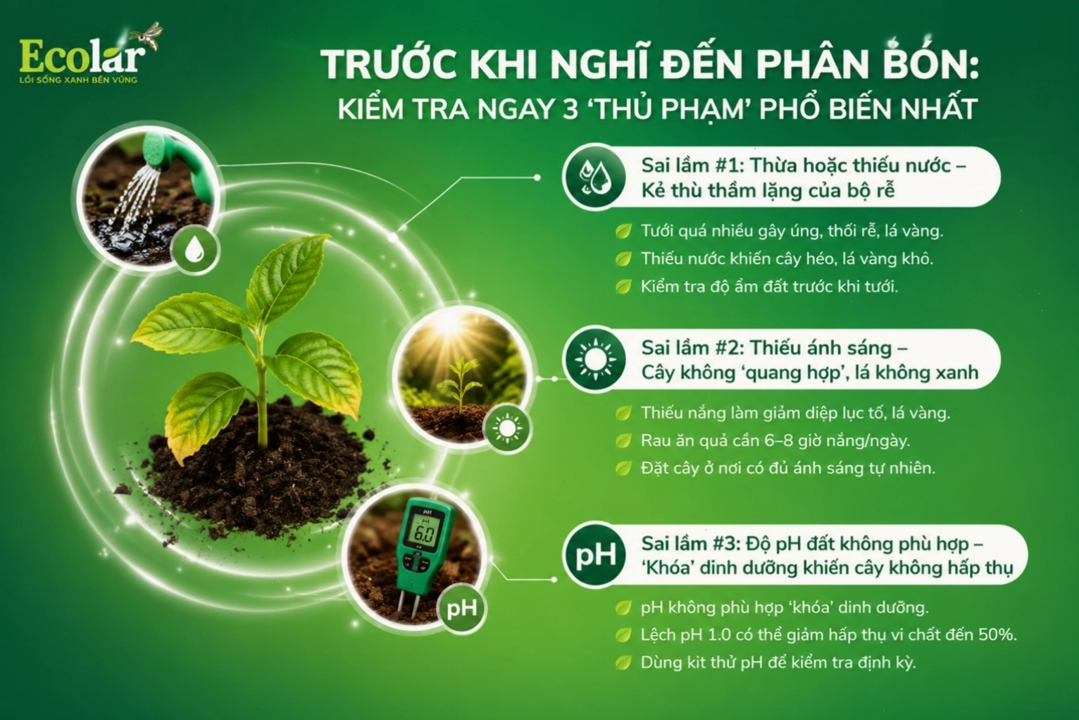 Kiểm tra ba thủ phạm phổ biến gây vàng lá