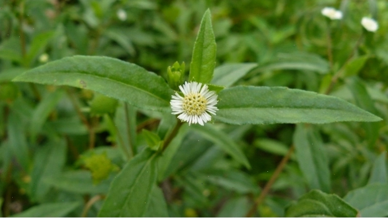Kiểm tra chức năng thận